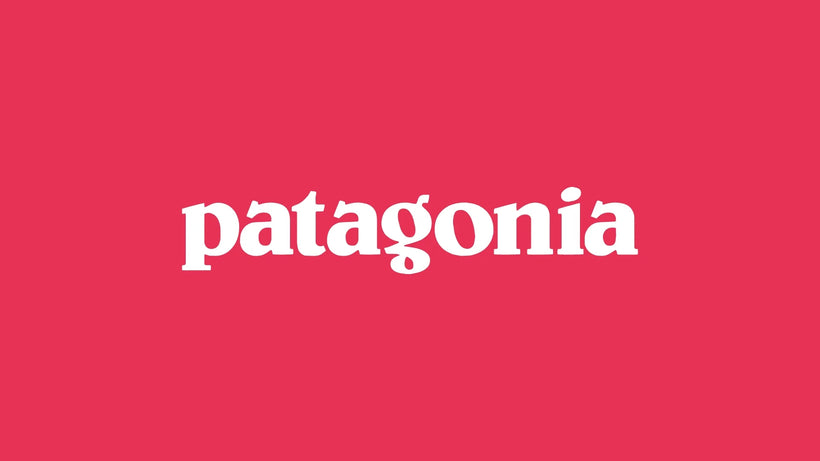 patagonia donna fw25